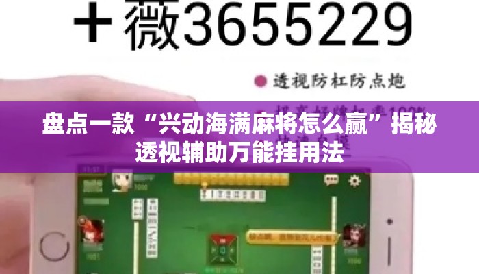 盘点一款“兴动海满麻将怎么赢”揭秘透视辅助万能挂用法