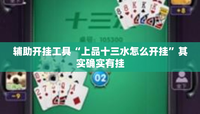辅助开挂工具“上品十三水怎么开挂	”其实确实有挂