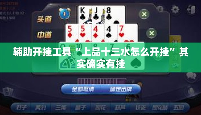 辅助开挂工具“上品十三水怎么开挂”其实确实有挂