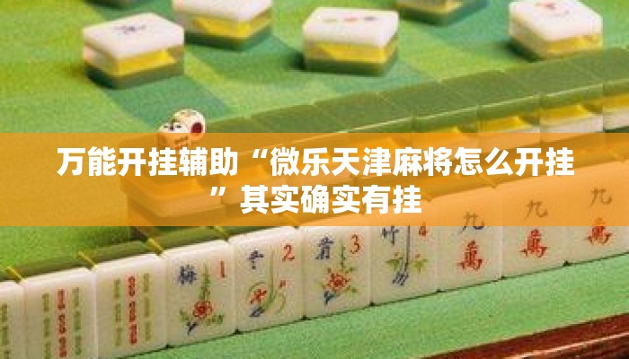 万能开挂辅助“微乐天津麻将怎么开挂”其实确实有挂