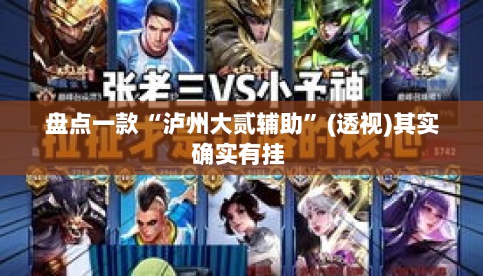 盘点一款“泸州大贰辅助”(透视)其实确实有挂 