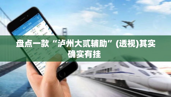 盘点一款“泸州大贰辅助”(透视)其实确实有挂 