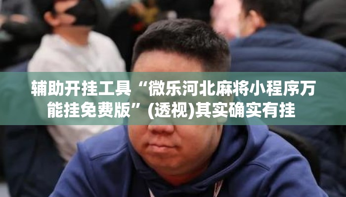 辅助开挂工具“微乐河北麻将小程序万能挂免费版	”(透视)其实确实有挂 