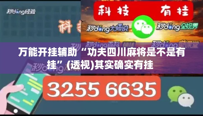 万能开挂辅助“功夫四川麻将是不是有挂”(透视)其实确实有挂 