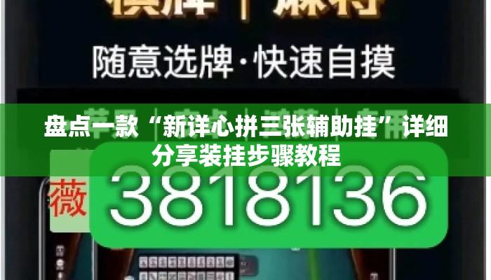 盘点一款“新详心拼三张辅助挂	”详细分享装挂步骤教程