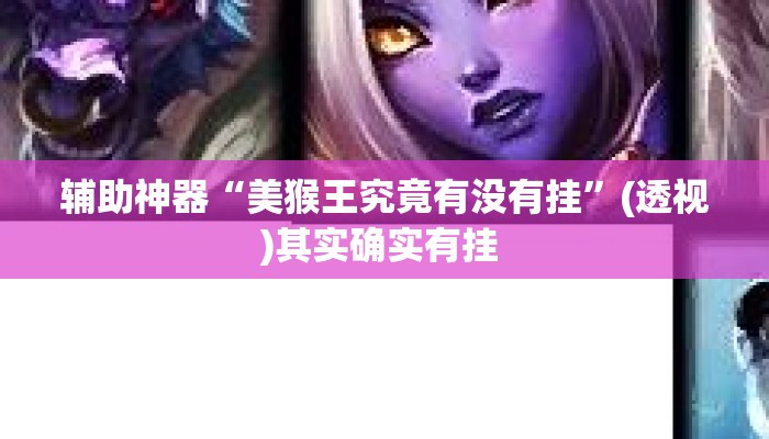 辅助神器“美猴王究竟有没有挂”(透视)其实确实有挂 