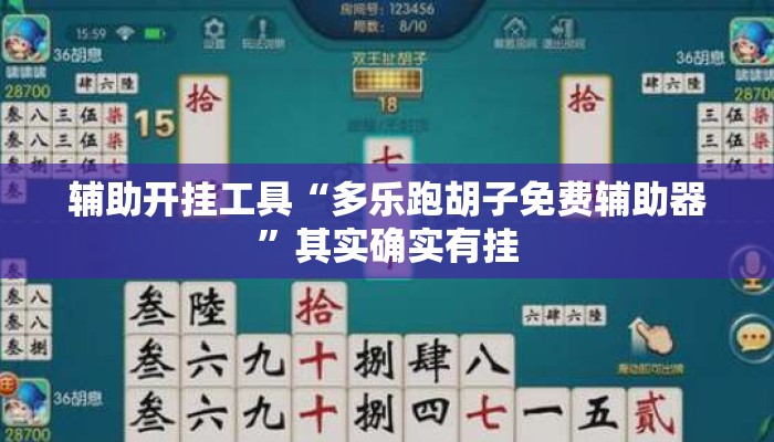 辅助开挂工具“多乐跑胡子免费辅助器”其实确实有挂