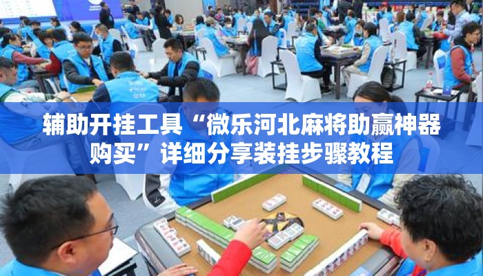 辅助开挂工具“微乐河北麻将助赢神器购买	”详细分享装挂步骤教程