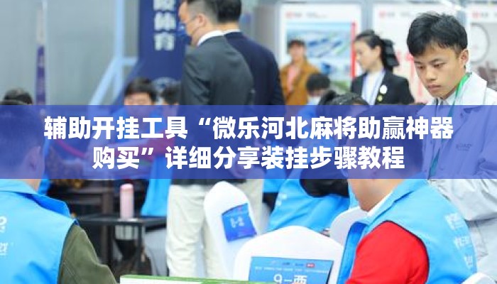 辅助开挂工具“微乐河北麻将助赢神器购买”详细分享装挂步骤教程