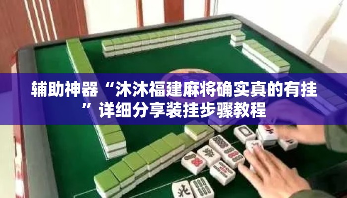 辅助神器“沐沐福建麻将确实真的有挂”详细分享装挂步骤教程