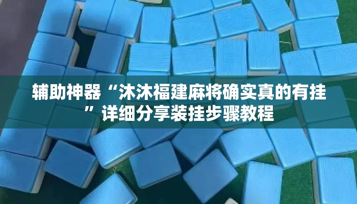 辅助神器“沐沐福建麻将确实真的有挂”详细分享装挂步骤教程