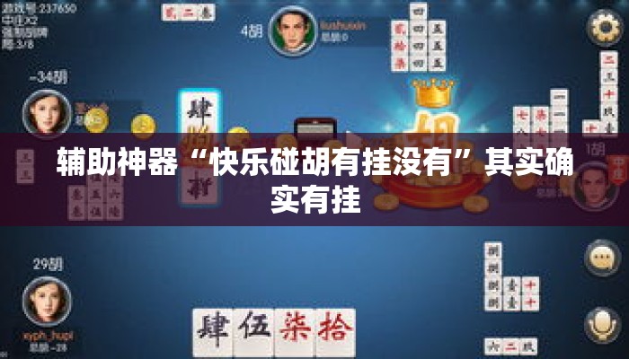 辅助神器“快乐碰胡有挂没有”其实确实有挂
