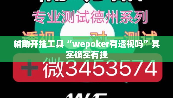 辅助开挂工具“wepoker有透视吗	”其实确实有挂