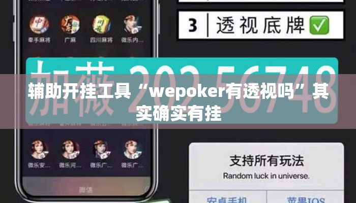 辅助开挂工具“wepoker有透视吗	”其实确实有挂