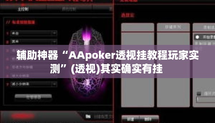辅助神器“AApoker透视挂教程玩家实测”(透视)其实确实有挂 