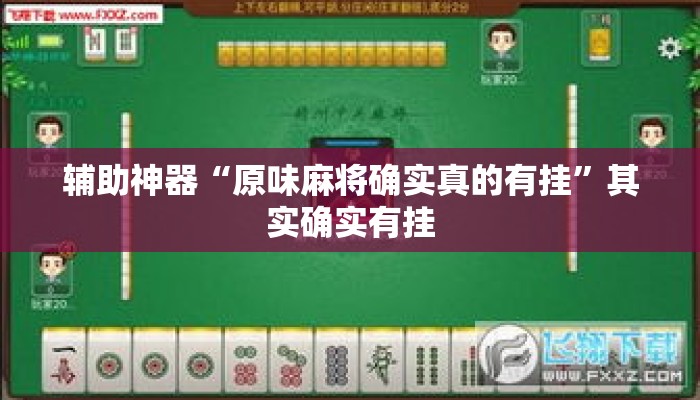 辅助神器“原味麻将确实真的有挂”其实确实有挂
