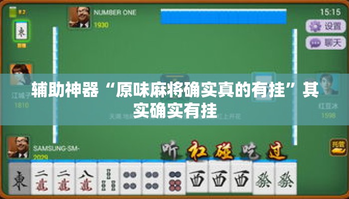 辅助神器“原味麻将确实真的有挂	”其实确实有挂