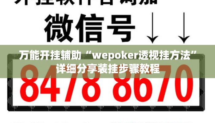 万能开挂辅助“wepoker透视挂方法”详细分享装挂步骤教程