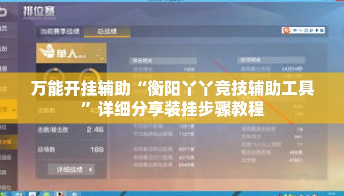万能开挂辅助“衡阳丫丫竞技辅助工具”详细分享装挂步骤教程
