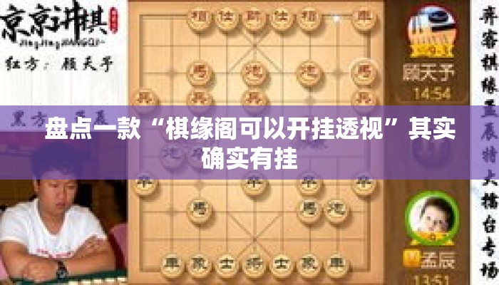 盘点一款“棋缘阁可以开挂透视	”其实确实有挂