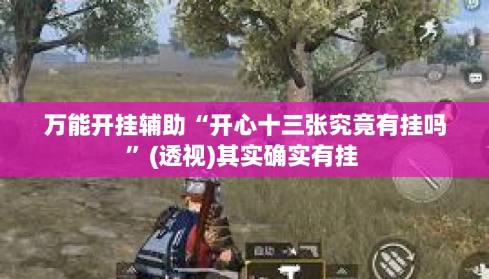 万能开挂辅助“开心十三张究竟有挂吗”(透视)其实确实有挂 