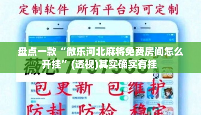 盘点一款“微乐河北麻将免费房间怎么开挂”(透视)其实确实有挂 