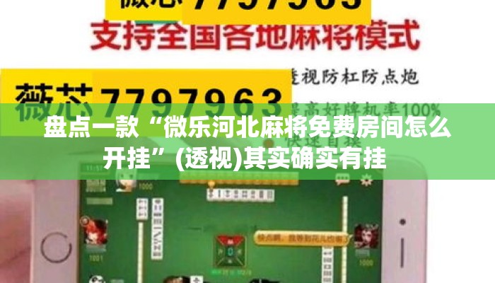 盘点一款“微乐河北麻将免费房间怎么开挂”(透视)其实确实有挂 