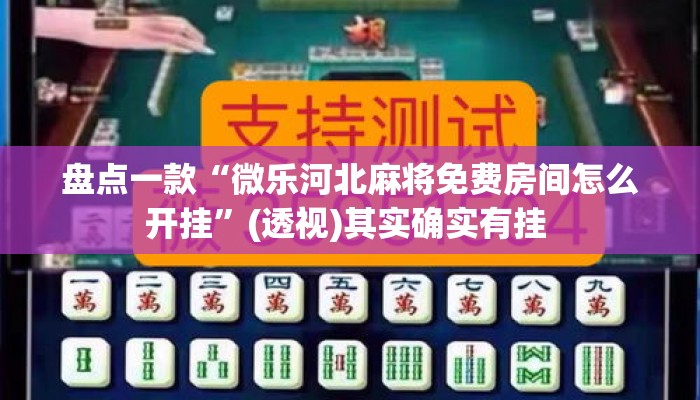 盘点一款“微乐河北麻将免费房间怎么开挂	”(透视)其实确实有挂 