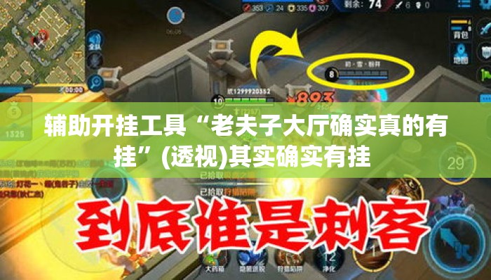 辅助开挂工具“老夫子大厅确实真的有挂	”(透视)其实确实有挂 