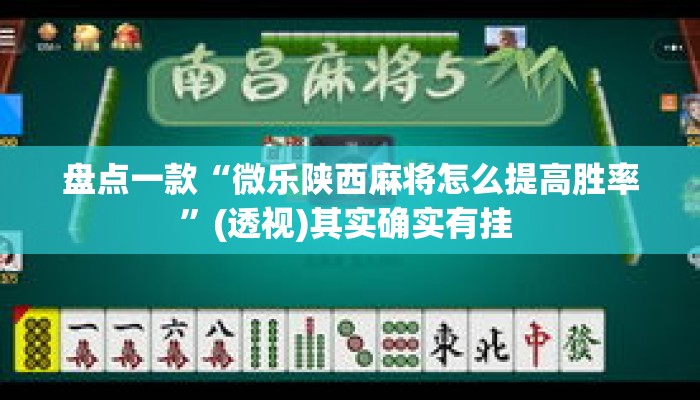 盘点一款“微乐陕西麻将怎么提高胜率”(透视)其实确实有挂 
