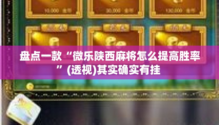 盘点一款“微乐陕西麻将怎么提高胜率”(透视)其实确实有挂 