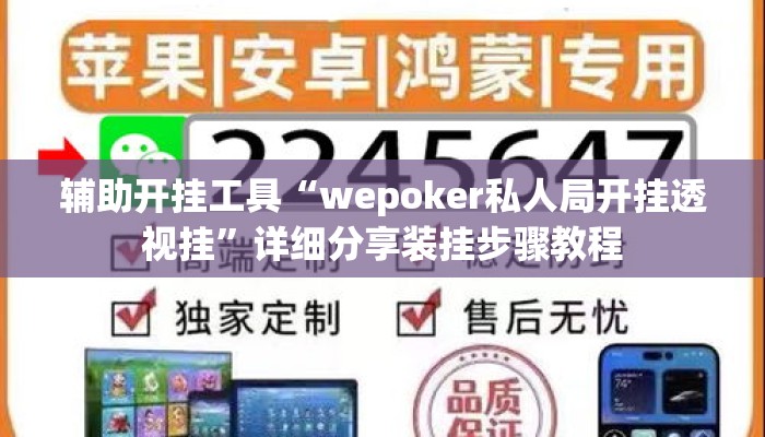 辅助开挂工具“wepoker私人局开挂透视挂”详细分享装挂步骤教程