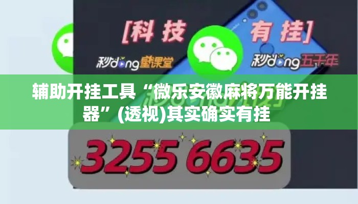 辅助开挂工具“微乐安徽麻将万能开挂器	”(透视)其实确实有挂 