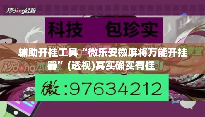 辅助开挂工具“微乐安徽麻将万能开挂器	”(透视)其实确实有挂 