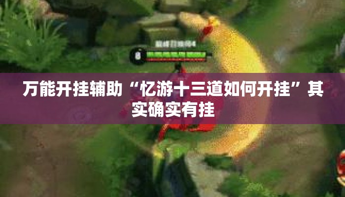 万能开挂辅助“忆游十三道如何开挂”其实确实有挂