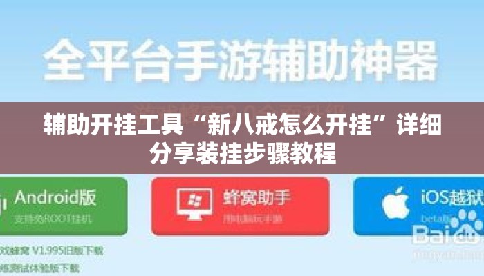 辅助开挂工具“新八戒怎么开挂	”详细分享装挂步骤教程