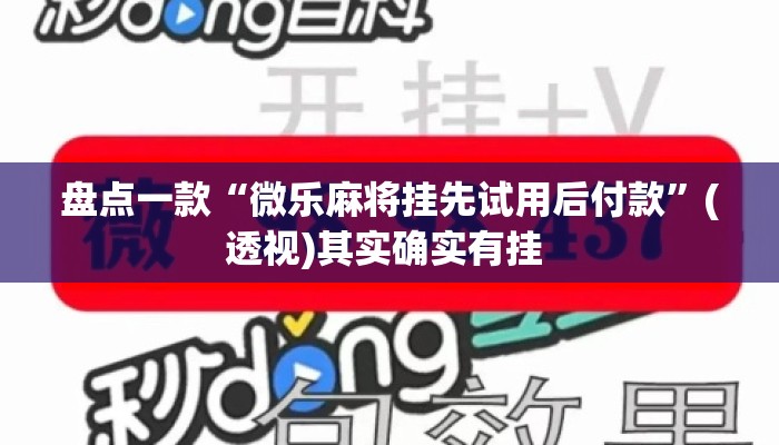 盘点一款“微乐麻将挂先试用后付款”(透视)其实确实有挂 