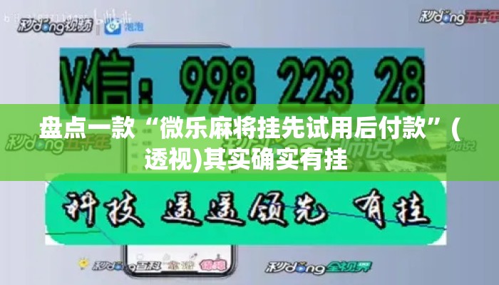 盘点一款“微乐麻将挂先试用后付款”(透视)其实确实有挂 