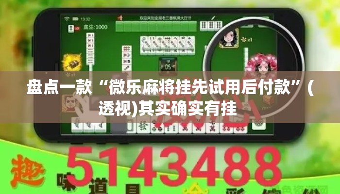 盘点一款“微乐麻将挂先试用后付款	”(透视)其实确实有挂 