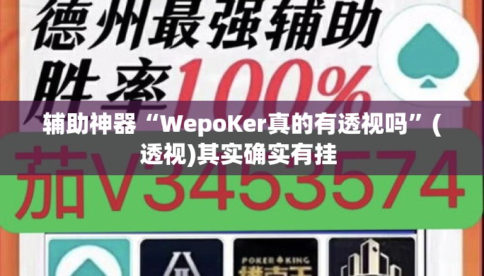 辅助神器“WepoKer真的有透视吗”(透视)其实确实有挂 