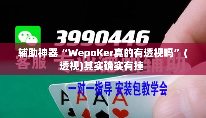 辅助神器“WepoKer真的有透视吗”(透视)其实确实有挂 
