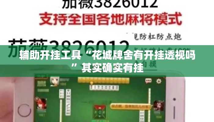 辅助开挂工具“花城牌舍有开挂透视吗”其实确实有挂
