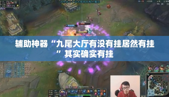 辅助神器“九尾大厅有没有挂居然有挂”其实确实有挂