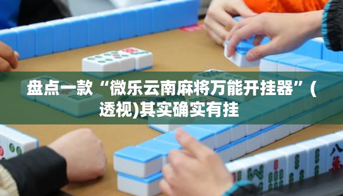 盘点一款“微乐云南麻将万能开挂器”(透视)其实确实有挂 