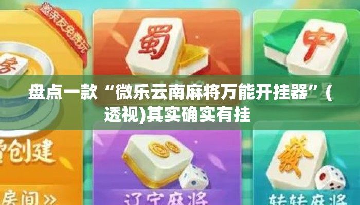 盘点一款“微乐云南麻将万能开挂器	”(透视)其实确实有挂 