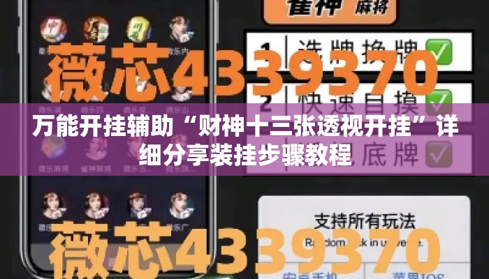 万能开挂辅助“财神十三张透视开挂”详细分享装挂步骤教程