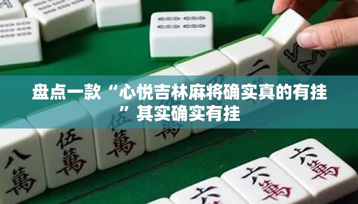 辅助神器“闲逸碰胡跑胡子可以开挂吗”其实确实有挂