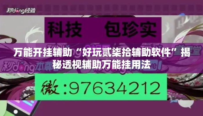 万能开挂辅助“好玩贰柒拾辅助软件	”揭秘透视辅助万能挂用法