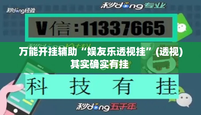 万能开挂辅助“娱友乐透视挂	”(透视)其实确实有挂 