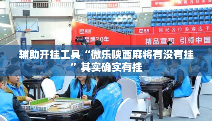 辅助开挂工具“微乐陕西麻将有没有挂”其实确实有挂